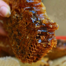山东农家蜂蜜经销商|【宝鸭塘】|菏泽农家蜂蜜