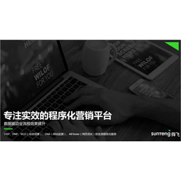  舜飞 国际化DSP广告的网络营销平台缩略图