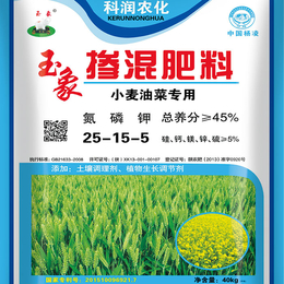 小麦化肥厂家*|小麦化肥|陕西科润生物科技