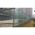 钢架玻璃雨棚,雨棚,南京得力嘉装饰(查看)缩略图1