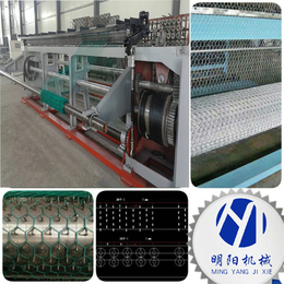 河北厂家生产六角网机器设备、塑料六角网机器、定州市明阳机械厂