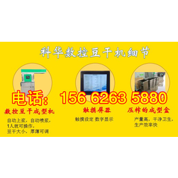 重庆豆腐干机,豆干加工设备,生产豆腐干机器价格