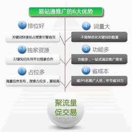 雷迅在线(图),青岛网络公司代理,青岛网络公司