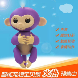 宝贝猴手*baby猴儿童智能玩具益智儿童礼物