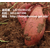 安徽池州红薯品种 石家庄武庄高淀粉红薯供应缩略图2