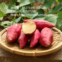 滁州红薯地瓜厂家 安徽****高产高淀粉红薯批发