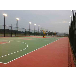 绥化篮球场围网|威友丝网(图)|篮球场围网供应商