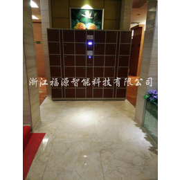 浴场储物柜 KTV存包柜及浴室寄存柜的规范与定制-浙江福源