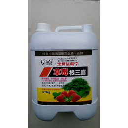 草莓根三喜治苗弱小叶黄叶不扎新根根腐病黄枯萎病烂根死苗好*