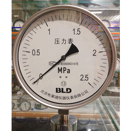 北京销售布莱迪压力表现货YTF-150H厂家*0-1mpa