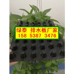 宜春绿化种植蓄水板12高排水板厂家15853873476