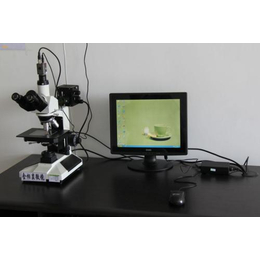 重庆金相显微镜,欣晟泰,4x1金相显微镜