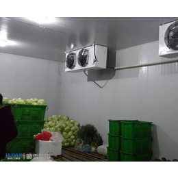 马鞍山蔬菜冷库,安徽徽雪,蔬菜冷库设计安装