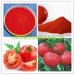 番茄粉 番茄速溶粉 番茄提取物 斯诺特****提取 