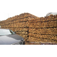 松木桩的功能以及松木桩防腐的做法
