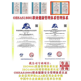 山东省OHSAS18001认证去哪办理缩略图