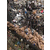 工业废料处理及其它一般工业垃圾处理焚烧浦东工业产品销毁缩略图4