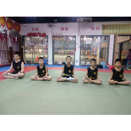 重庆青少年散打培训班,威林武术(在线咨询),散打培训