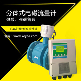 厂家*防腐污水分体式智能电磁流量计上海佰质仪器仪表有限公司
