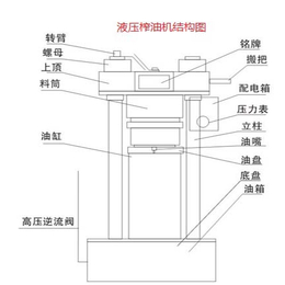 东盈供应定制小型大豆液压榨油机