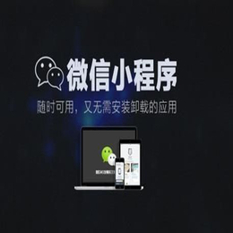 广州微商城公司|微商城|东联网络