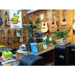 电吉他零售店,万福琴行(在线咨询),梅州电吉他