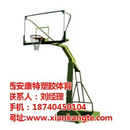 篮球架哪家便宜|篮球架生产厂(在线咨询)|天水篮球架