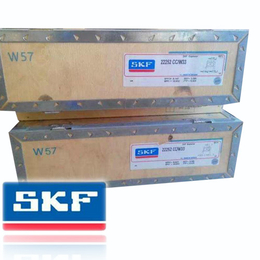 SKF轴承6019-2Z/C3_SKF天津经销商