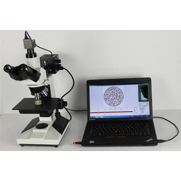 显微镜的使用方法,欣晟泰,凉山显微镜