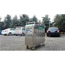 豫翔机械(图)、移动燃气蒸汽洗车机、遂宁市燃气蒸汽洗车机