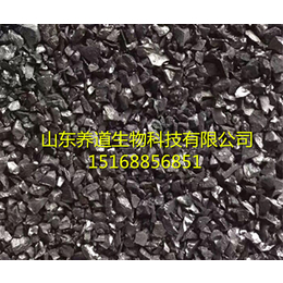 潍坊活性炭|养道生物品质保障|果壳活性炭厂家