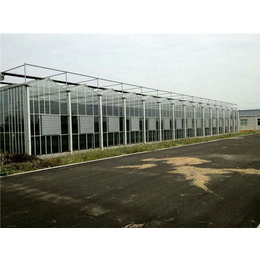 【富农温室】(图)|漯河简易玻璃大棚安装|玻璃大棚