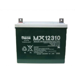 大连市友联蓄电池MX12310电池供应商