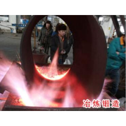 赣州锅炉|艾森机械|蒸汽锅炉改造