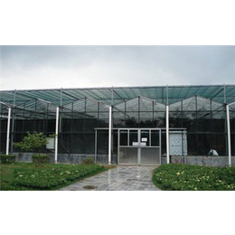 连栋玻璃温室、齐鑫温室园艺0(在线咨询)、石家庄玻璃温室
