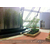 杭州屋顶花园设计、一禾园林(在线咨询)、杭州屋顶花园设计施工缩略图1