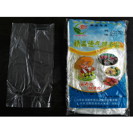 塑膜苹果袋,莒县常兴塑膜,塑膜苹果袋低价出售