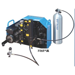 MCH16空气压缩机 科尔奇双充气头填充泵 呼吸空气充气机