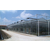 青州齐鑫温室(在线咨询)|玻璃大棚建造|钢化玻璃大棚建造缩略图1