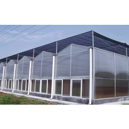 齐鑫温室园艺(图)、阳光板大棚建设、阳光板大棚