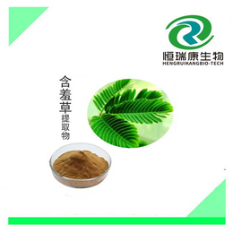 含羞草提取物价格,含羞草提取物,恒瑞康生物科技(查看)