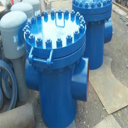 凝结水泵进口滤网_水泵进口滤网_GD87-0910(查看)