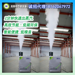 气加热蒸汽发生器、美斯特热源(在线咨询)、福州蒸汽发生器