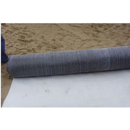 防水毯垫片,天津防水毯,德旭达土工材料(查看)