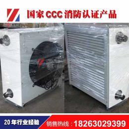上海暖风机、现货直发、工业型热水暖风机供暖