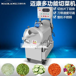 罐头厂切菜机设备 多功能果蔬切菜机