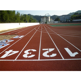 天津塑胶跑道、奥琦体育(在线咨询)、塑胶跑道