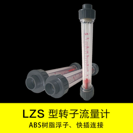 *供应LZS-40液体塑料管转子流量计原装现货