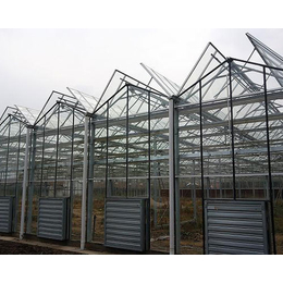 钢架构玻璃温室大棚|太原玻璃温室大棚|益兴诚钢构温室工程