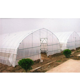 合肥建野(在线咨询)、滁州大棚、温室大棚公司